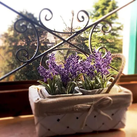 Casa Perotti Appartement